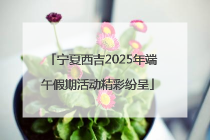 宁夏西吉2025年端午假期活动精彩纷呈